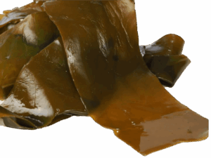 KOMBU product image
