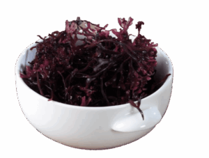 SUGINORI product image
