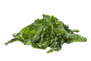 ULVA product image