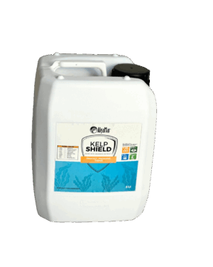 KELP SHIELD product image