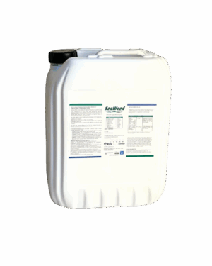 SEAWEED product image